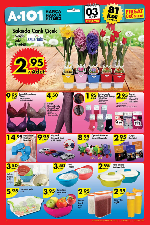 A101 Market 03.03.2016 Perşembe Katalogu - Saksıda Canlı Çiçek